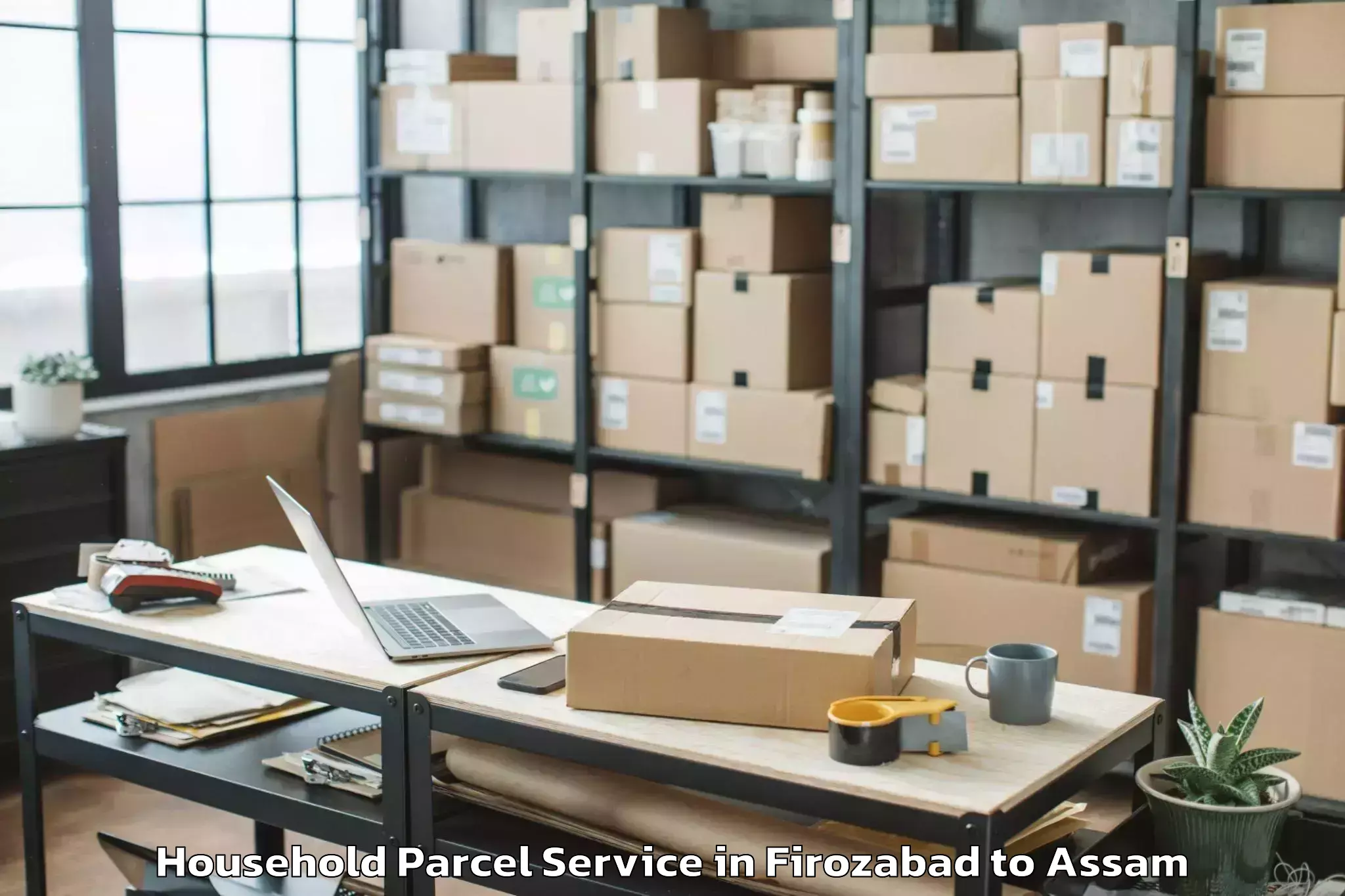 Hassle-Free Firozabad to Dibrugarh University Dibrugarh Household Parcel